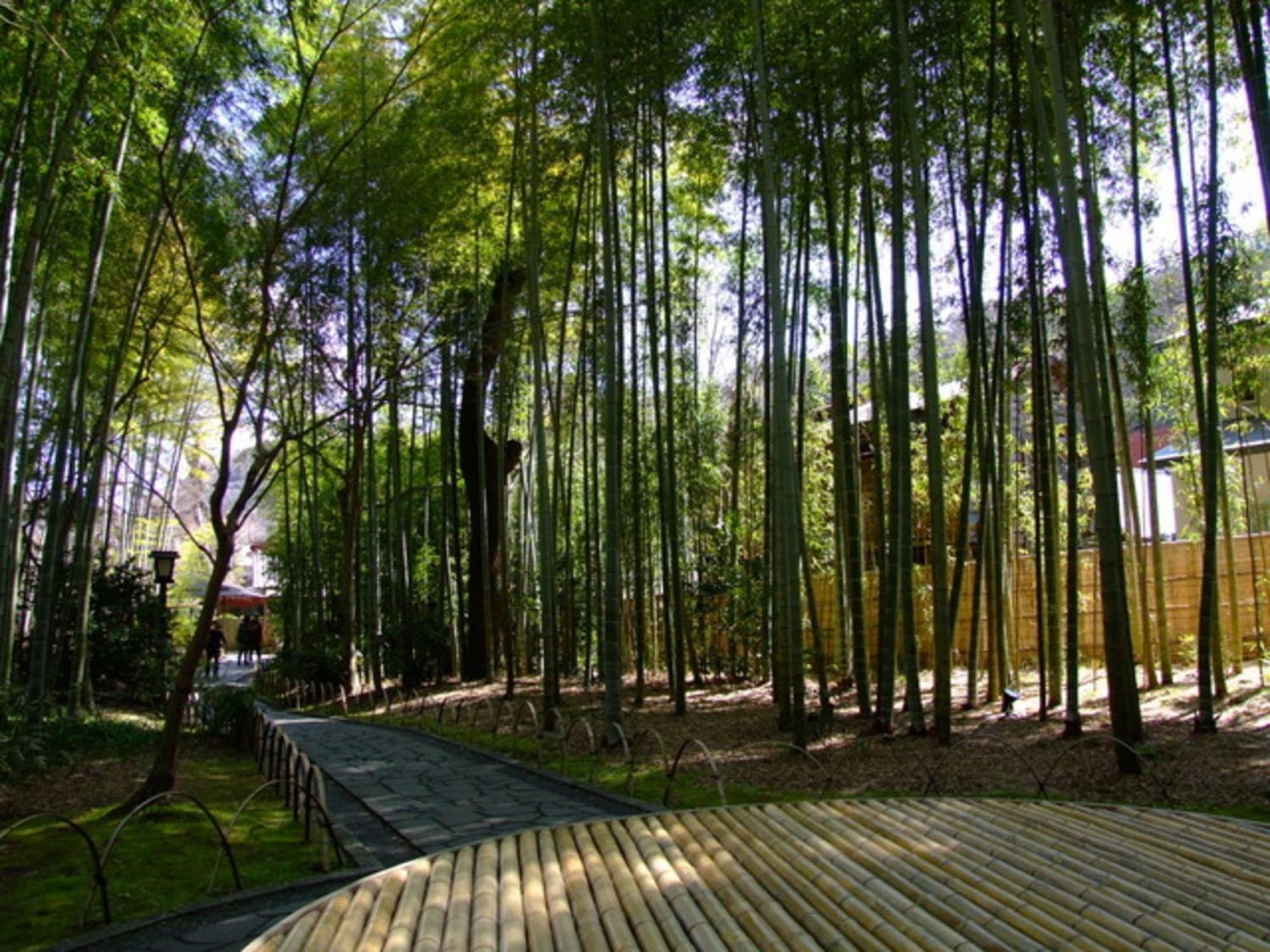 Breezbay Shuzenji Hotel Izu  Esterno foto